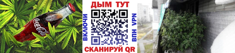 Canna-Cookies марихуана  Курчатов 