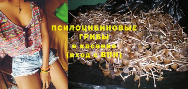 бошки Киренск