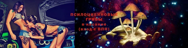 mdpv Костерёво