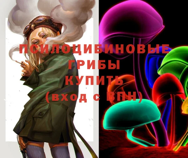 тгк Козловка