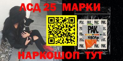 spice Камышлов