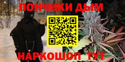 spice Камышлов