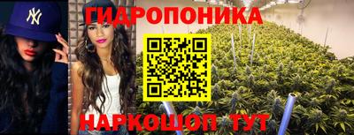 винт Канаш